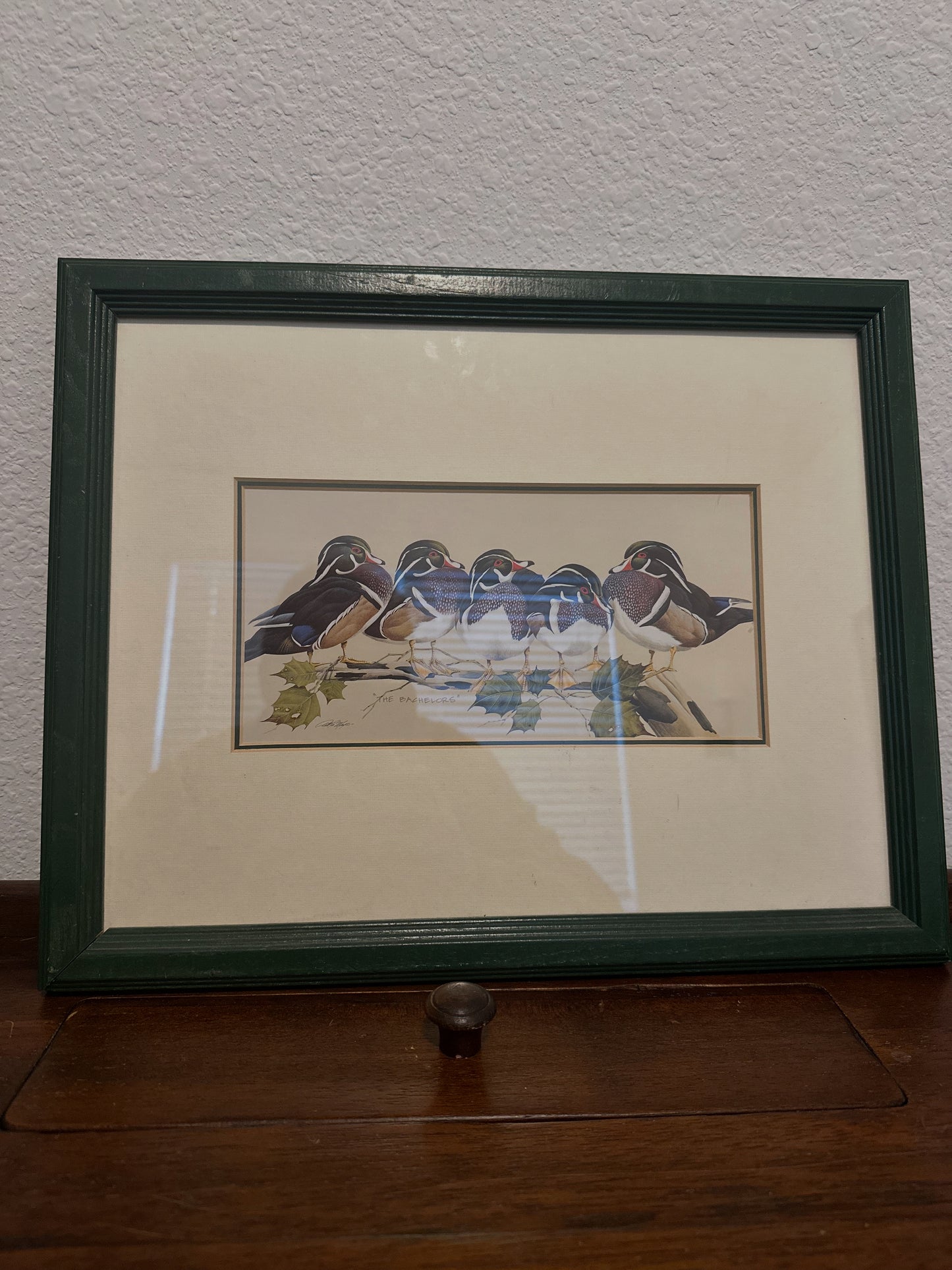 The Bachelors - Wood Duck Print - Art Lamay