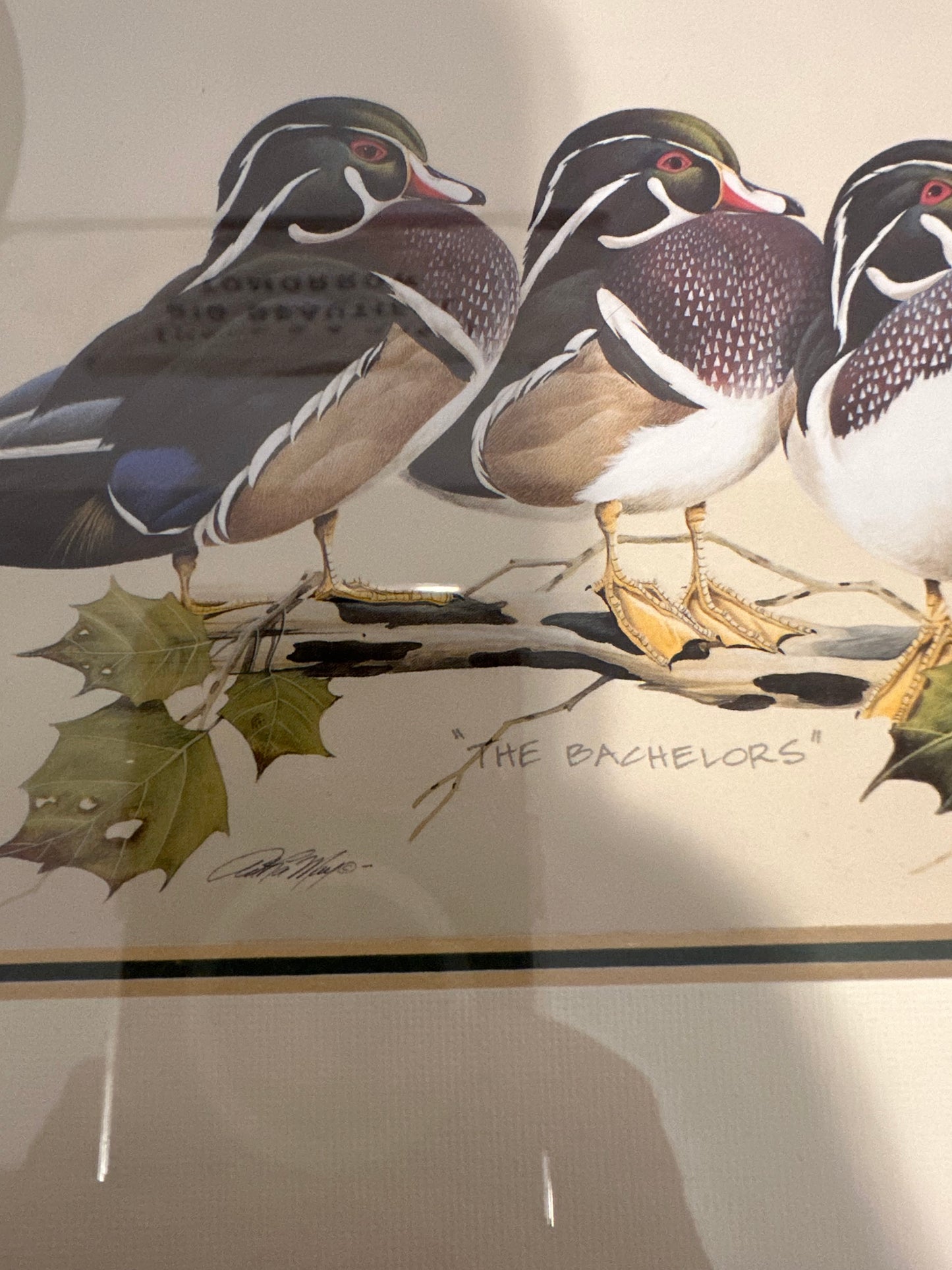 The Bachelors - Wood Duck Print - Art Lamay