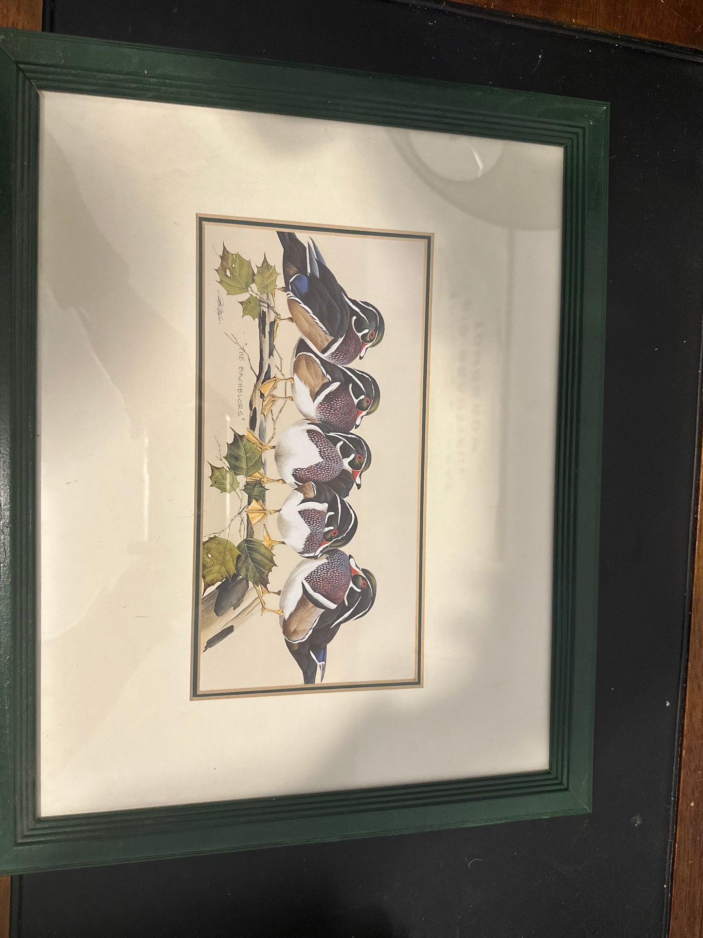 The Bachelors - Wood Duck Print - Art Lamay