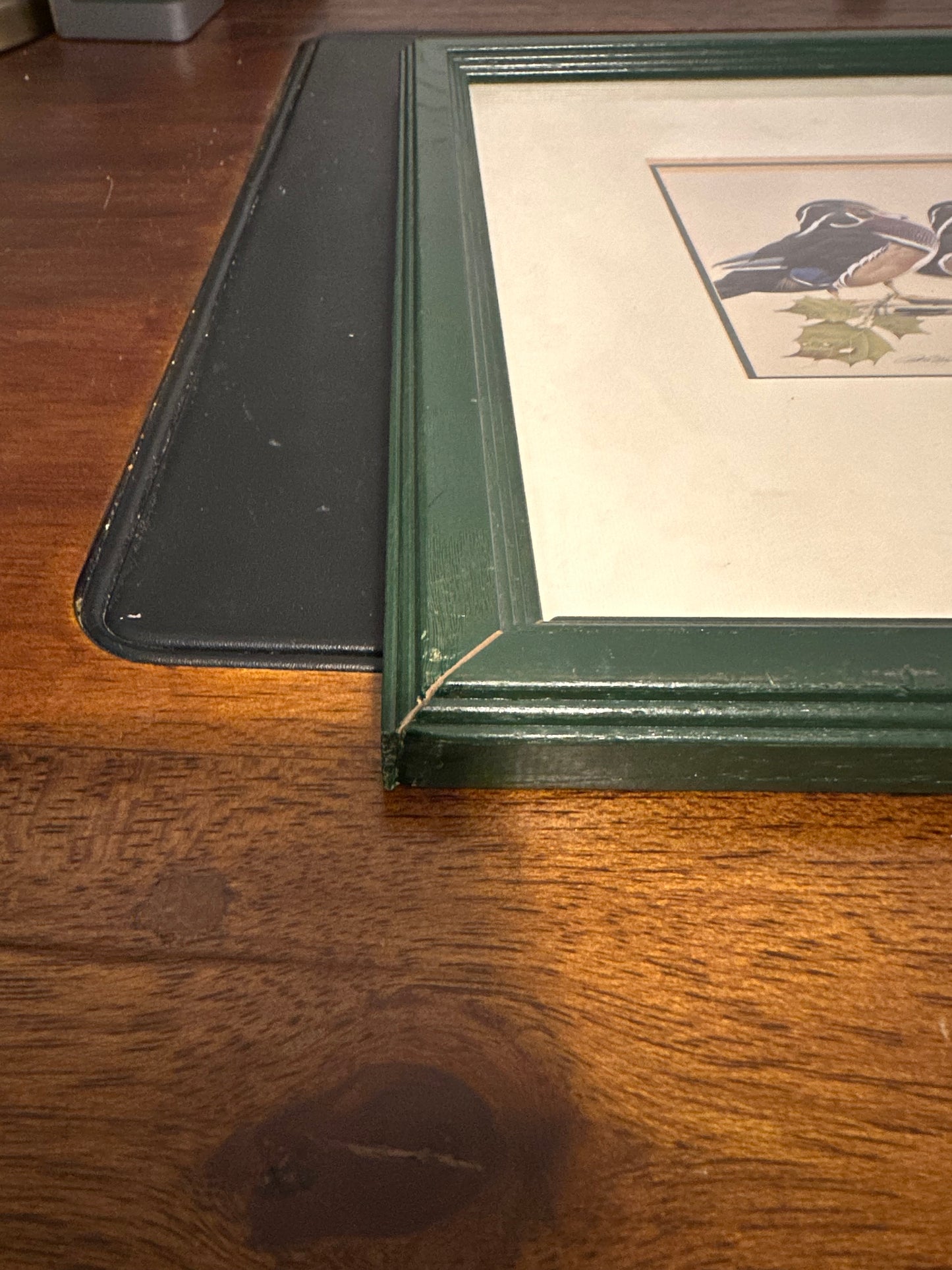 The Bachelors - Wood Duck Print - Art Lamay