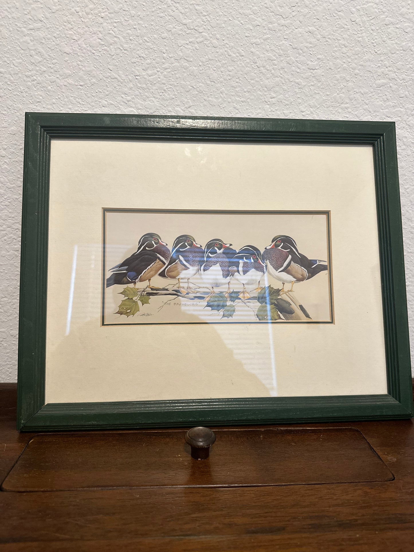 The Bachelors - Wood Duck Print - Art Lamay