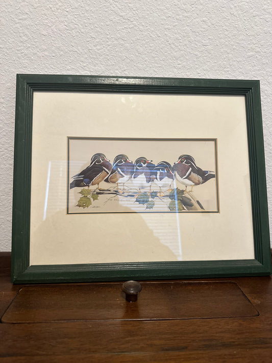 The Bachelors - Wood Duck Print - Art Lamay