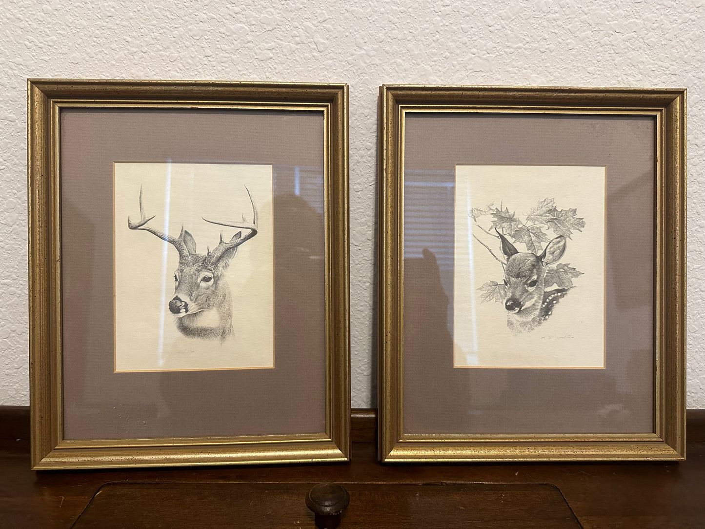 White Tail Deer Buck & Doe Vintage Print Set - Glen Loates