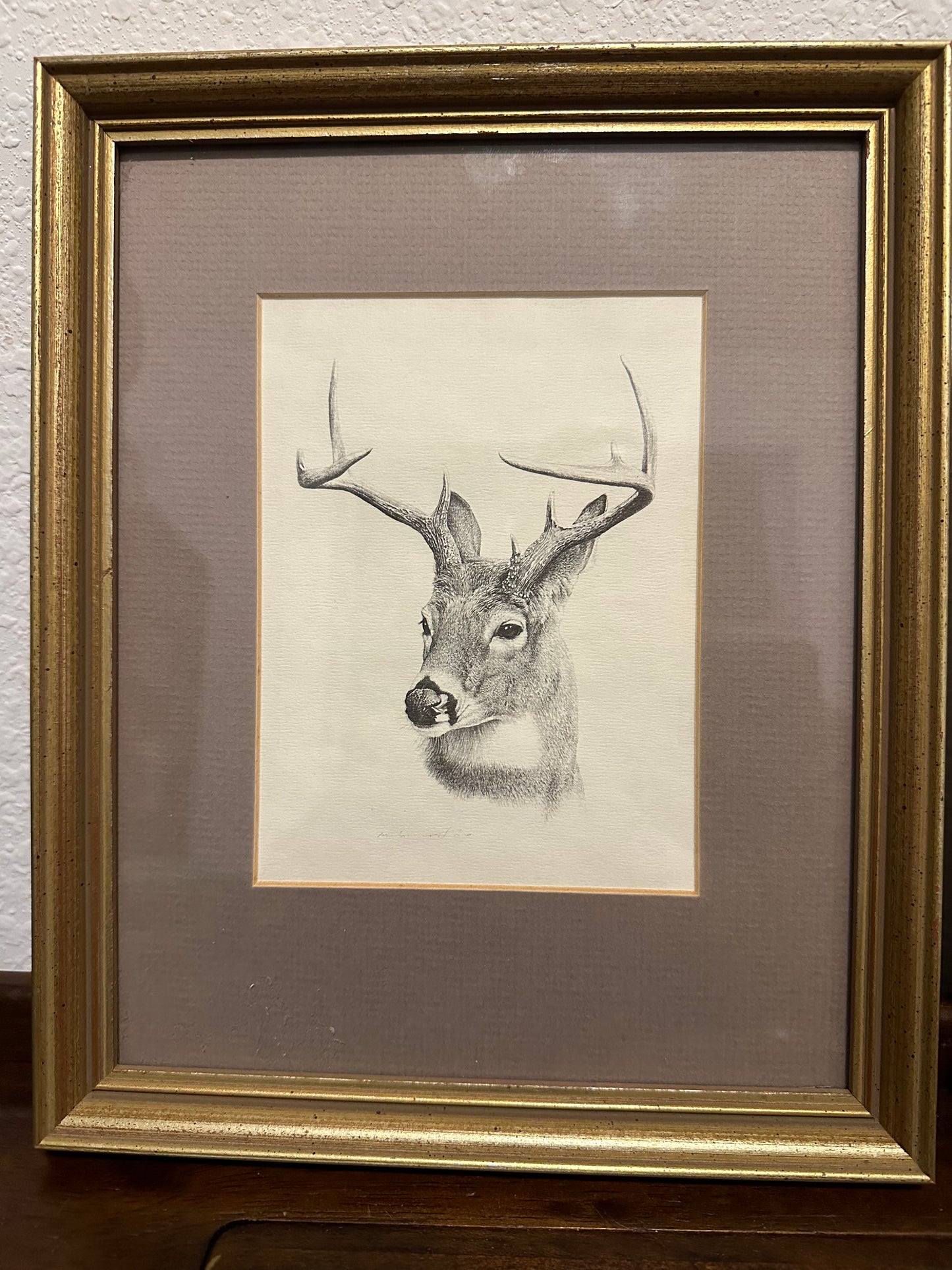 White Tail Deer Buck Vintage Framed Print - Glen Loates